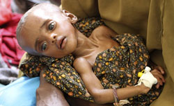 story_1_image4_large