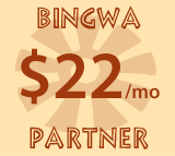 Bingwa Partner