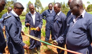 Students of Baraka Farms's Dairy Practical Training are hard at work.
